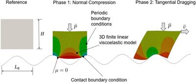 A Hybrid Multiscale Approach for Rubber Contact